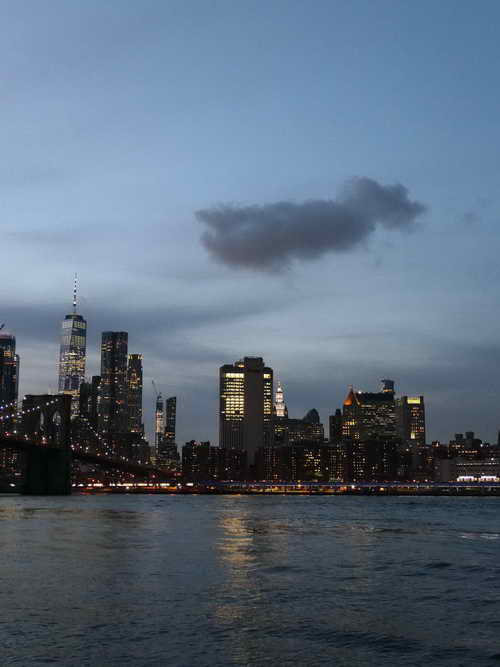 NYC_2020-01-30 17-32-05_P1080887